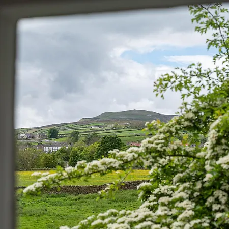 Hobsons * Grinton